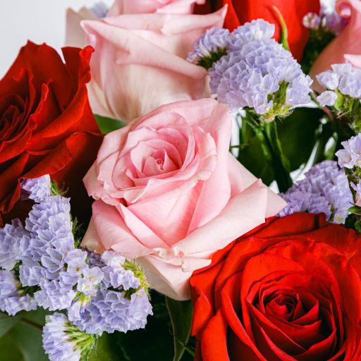Ainhoa - Roses