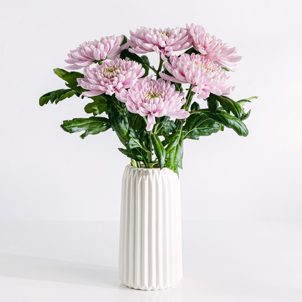 Blumen strauß aus rosa Chrysanthemen mit Vase