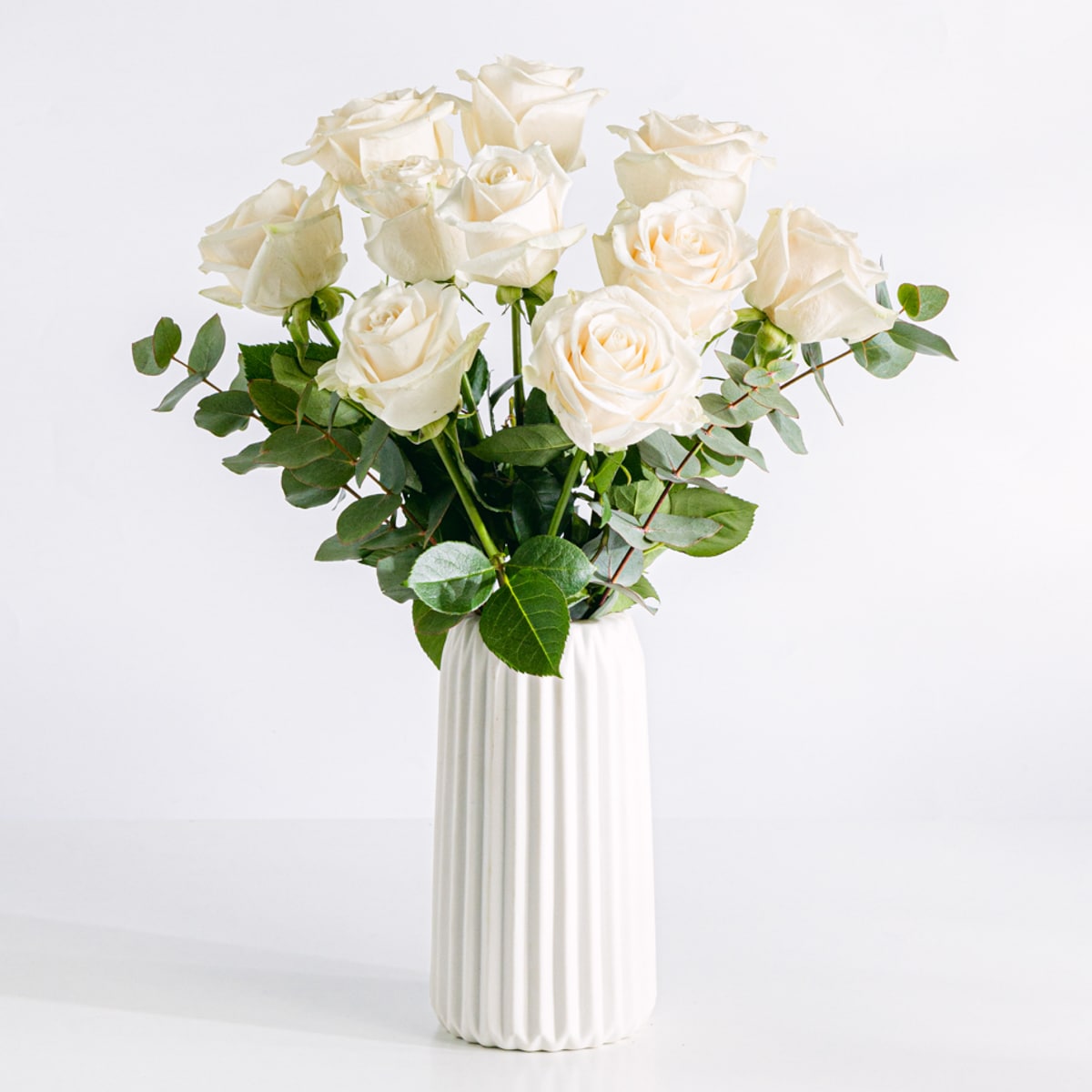 Sophie - Rosas