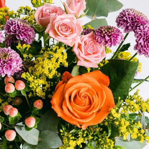 Detail of orange roses and branched roses flower