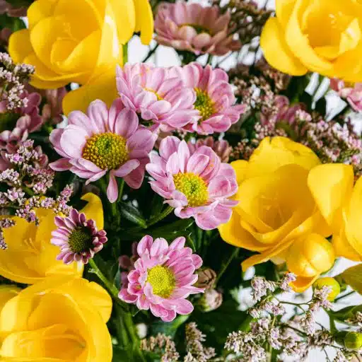 Pormenor de frésias amarelas e flores de limonium cor-de-rosa