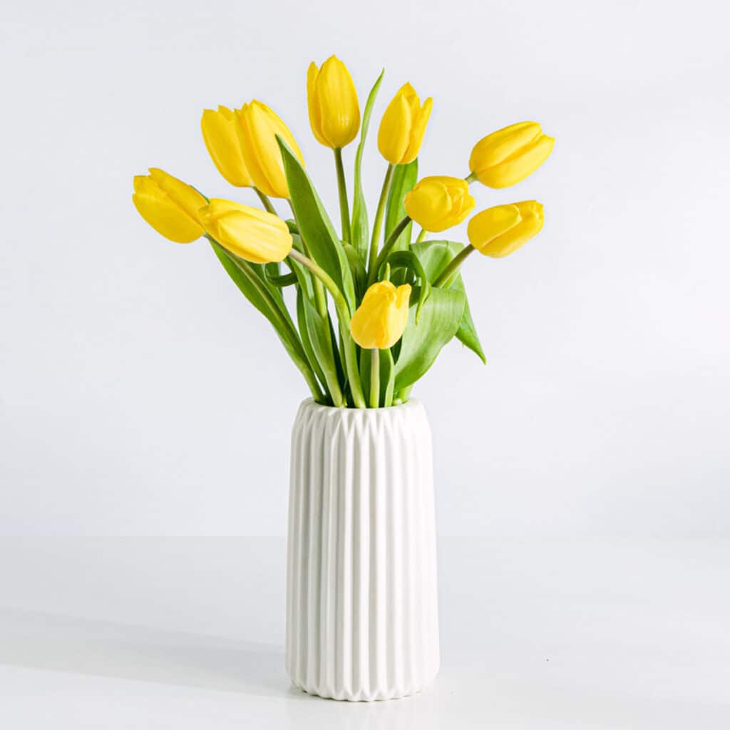 Amaia – Tulipanes