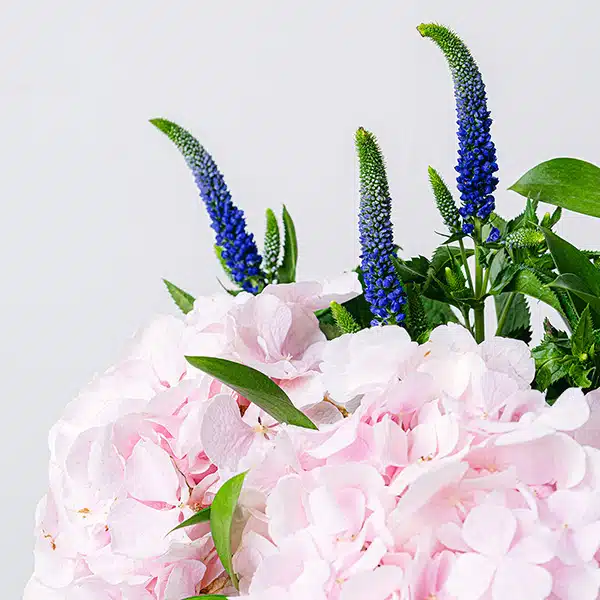 Dettagli del bouquet di hydreangee rosa e veronica viola