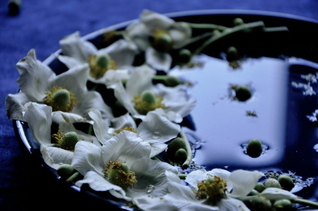 white flowers floating in a bowl of water